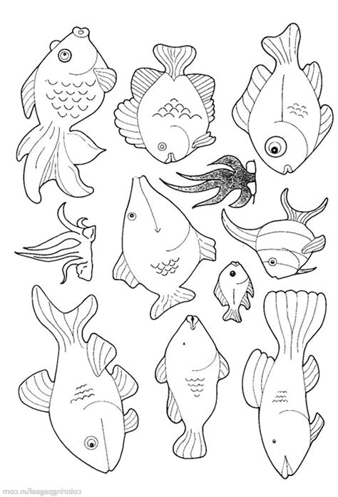 Small Fish Coloring Pages Sketch Coloring Page