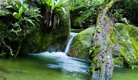 Mossman Gorge Dreamtime Heartland Australian Traveller