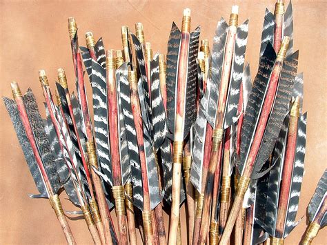 Traditional Archery Used To Shoot A Long Bow And Cedar Arrows With