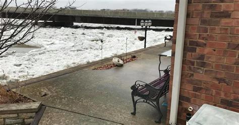 Kankakee River Flooding Causing Evacuations And Road Closures Local