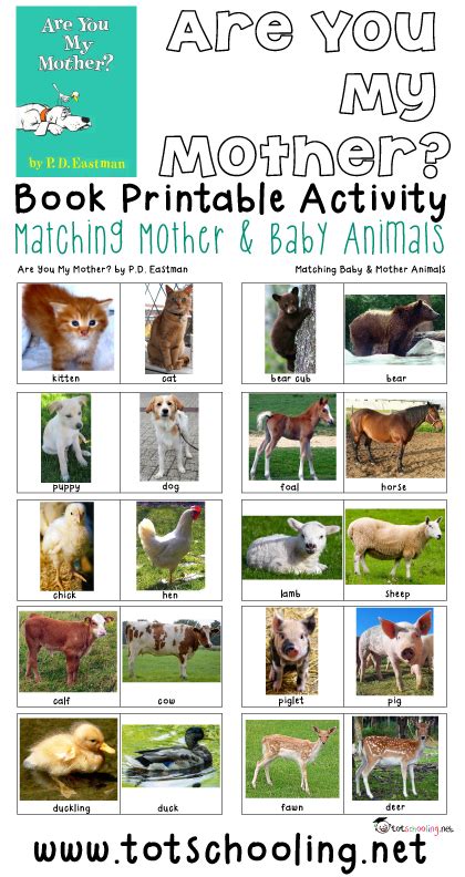 Mommy And Baby Animals Coloring Pages Mom Dad And Baby Calf