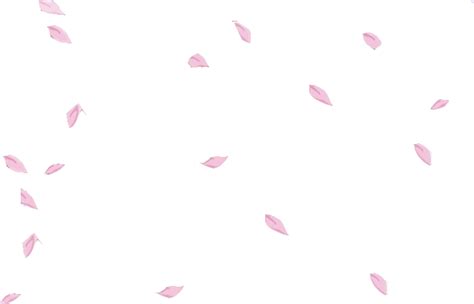 See more ideas about sakura, anime scenery, gif. sakura petals flower floral falling floating pink...