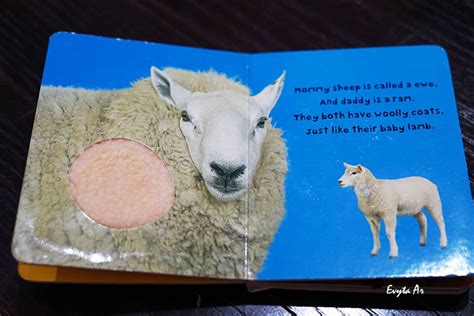 Dengan grimoire terbuka, pengguna membuat domba besar dari kapas. Mengenal Ragam Jenis dan Bentuk Buku Anak agar Membaca ...