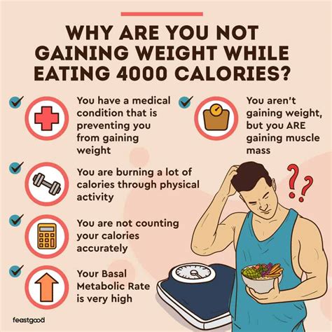 Eating 4000 Calorie A Day And Not Gaining Weight 5 Reasons