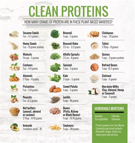Vegan Food Pyramid Full Nutrition Guide Artofit