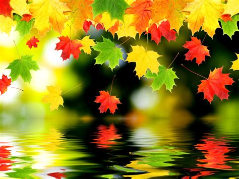 Autumn Colourful Wallpapers Wallpaper Cave