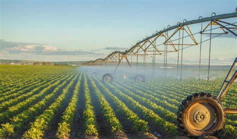 Riego Tecnificado Alternativa De Ahorro De Agua En Agricultura