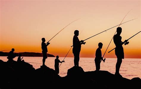 Best Surf Fishing Rod How To Choose The Right One For You Happy