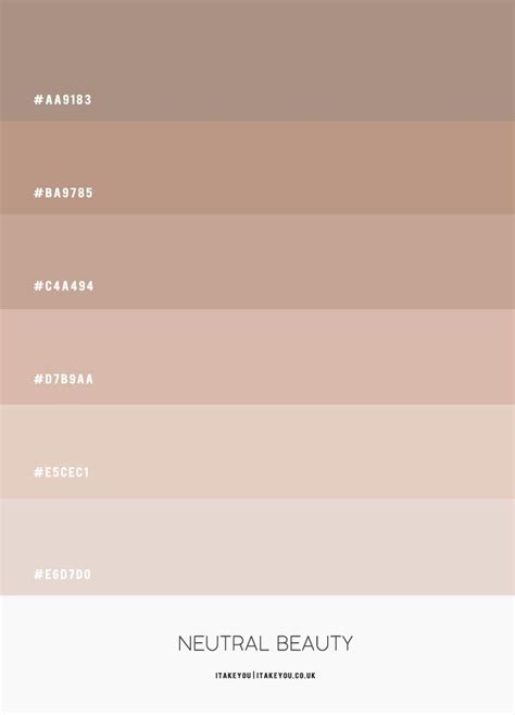 Neutral Color Scheme Colourpalette Nude Color Palette Color
