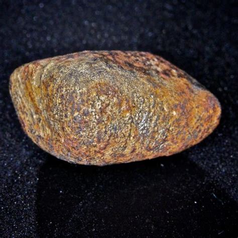 Planetary scientists estimate that each year, about 500 meteorites survive the fiery trip through earth's atmosphere and fall to our planet's surface. Stone meteorites - Meteorites.dk