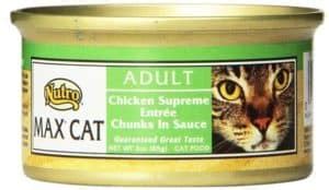 This is because diabetes can weaken an animal's immune system, making her more susceptible to allergies. Best High Protein Low Carb Cat Food (Review & Guide)