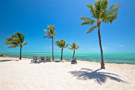 Idyllic White Sand Beach In Islamorada On Florida Keys Stock Image Image Of Building Seascape