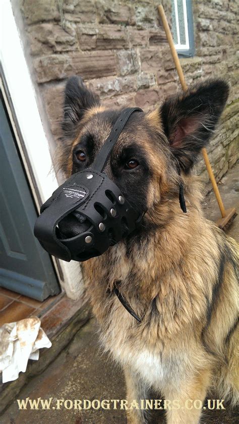 Long Snout Dog Muzzle For Daily Use German Shepherd Dog Muzzle