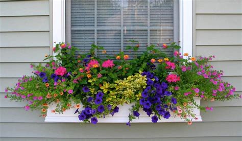 50 Interior Window Flower Boxes Design For An Eco Friendly Environment