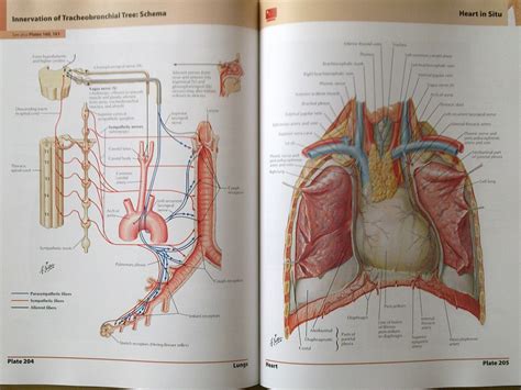 We know it can be difficult to learn the concepts of anatomy if you don't know what some. Bukumedik Blogspot (Medical Books Online Shoppe): Netter ...
