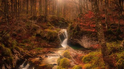 Download Wallpaper 3840x2160 Autumn Waterfall Stream Forest 4k Uhd
