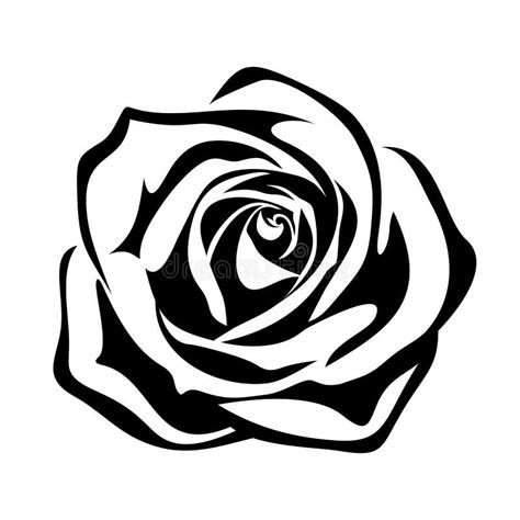 Rosa Desenho Preto E Branco Do Contorno Do Vetor Ilustração Do Vetor