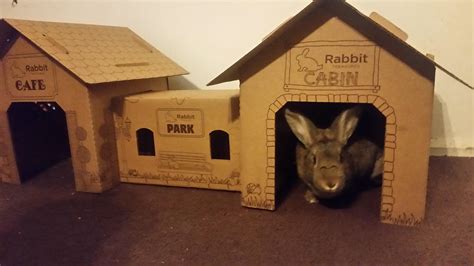 I Love Cardboard Houses Rrabbits