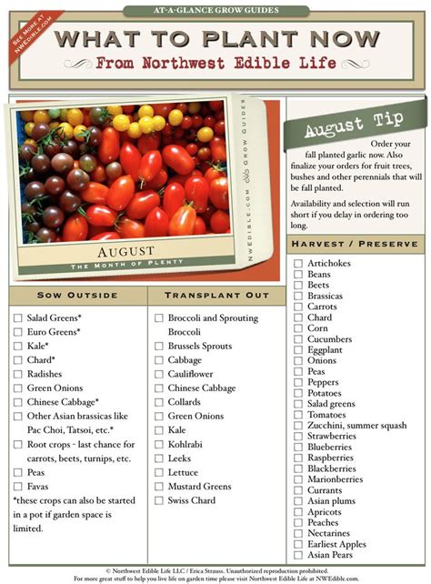 August Gardening Chores For The Pacific Northwest Northwest Edible
