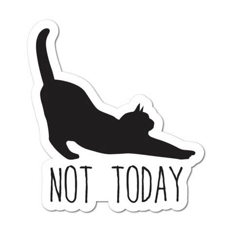 Not Today Cat Sticker Funny Pets Cats Decal Car Bumper Ebay
