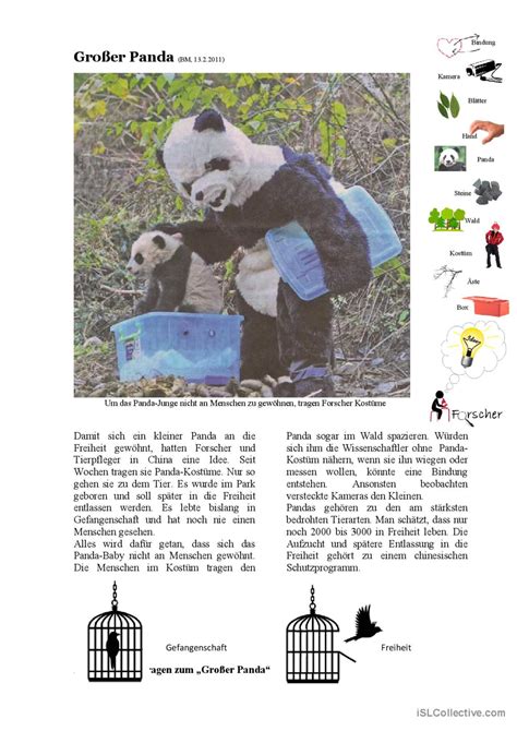 Großer Panda Allgemeine Deutsch Daf Arbeitsblätter Pdf And Doc