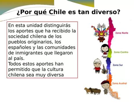 Diversidad Cultural En Chile Profesocial