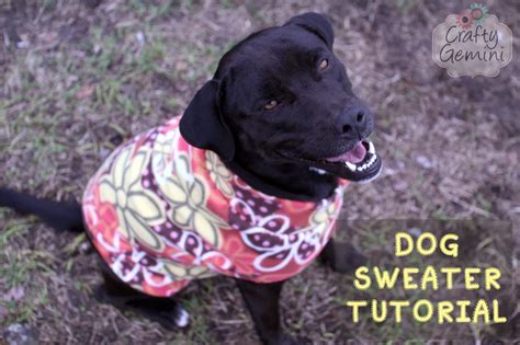 How To Make A Dog Sweater Diy Tutorial Crafty Gemini