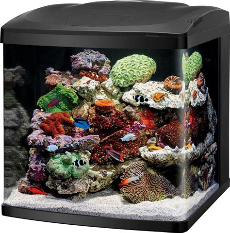 The 5 Best 40 Gallon Fish Tanks Available In Market