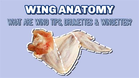 An Anatomical Guide To Poultry Wings Wing Tips Wingettes Drumettes