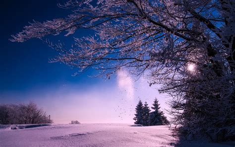 1440x900 Winter Snow Sunset Dusk Sky Clouds Landscape 1440x900