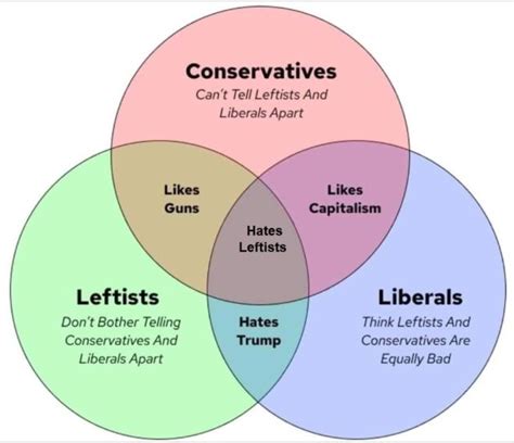 Political Venn Diagram Whoa 👀 Politicalcompassmemes