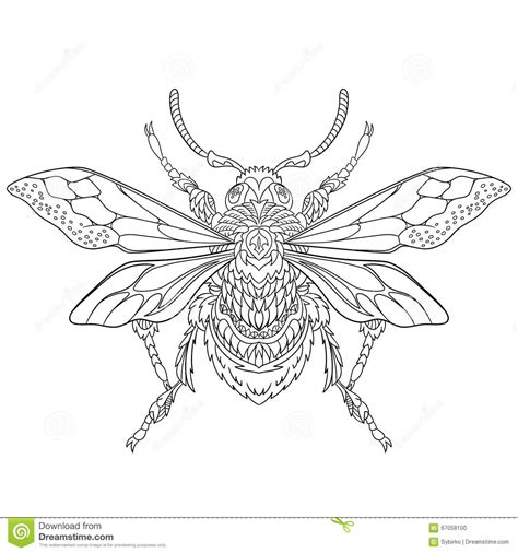 All the ants in the world weigh more than all the humans in the world! Zentangle Stylized Beetle Insect Stock Vector - Image ...