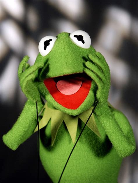 Hd Wallpaper Kermit The Frog The Muppet Show 2086x2754