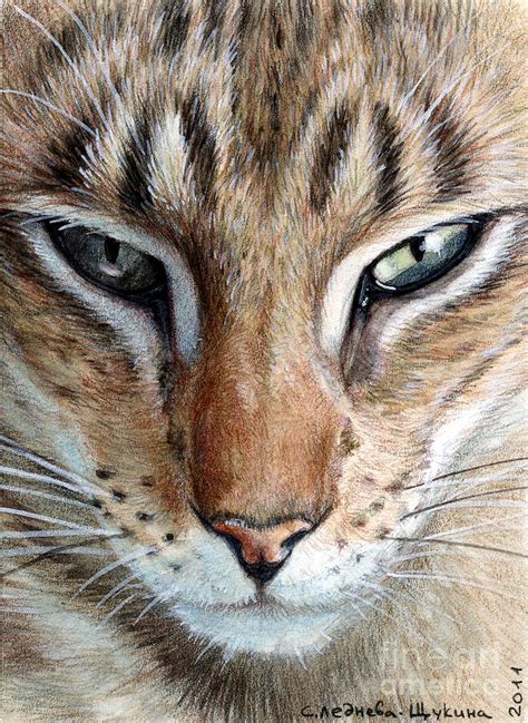 Oriental Cat Painting By Svetlana Ledneva Schukina