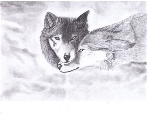 Animal sketches art sketches zettai karen children embroidery tattoo drawing projects fox art creepy art japanese art pencil drawings. FROM MY PENCIL: WOLVES