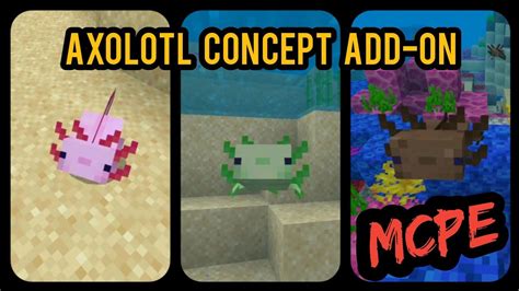 Axolotl Concept Add On Amazing Bedrock Edition Mod Youtube