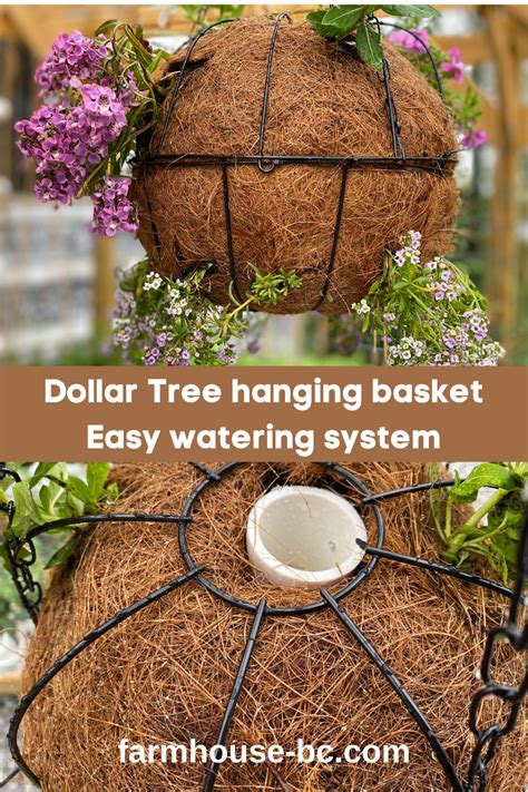 Hanging Flower Basket In 13 Easy Steps Hanging Basket Garden Plants