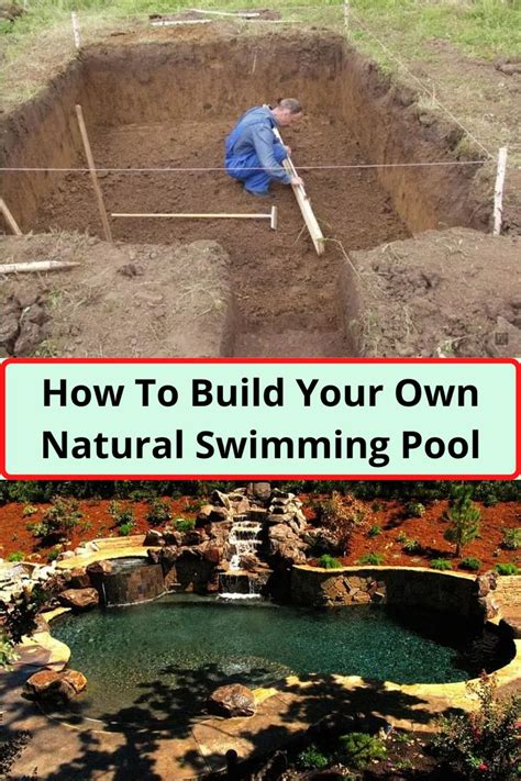 How To Build Your Own Natural Swimming Pool In Your Backyard In Just Steps Natural Swimming