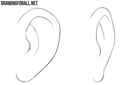 How To Draw Anime Ears Step By Step Drawing Guide By