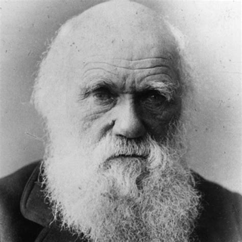 Entrevista A Charles Darwin Creador De La Teoría De La Evolución