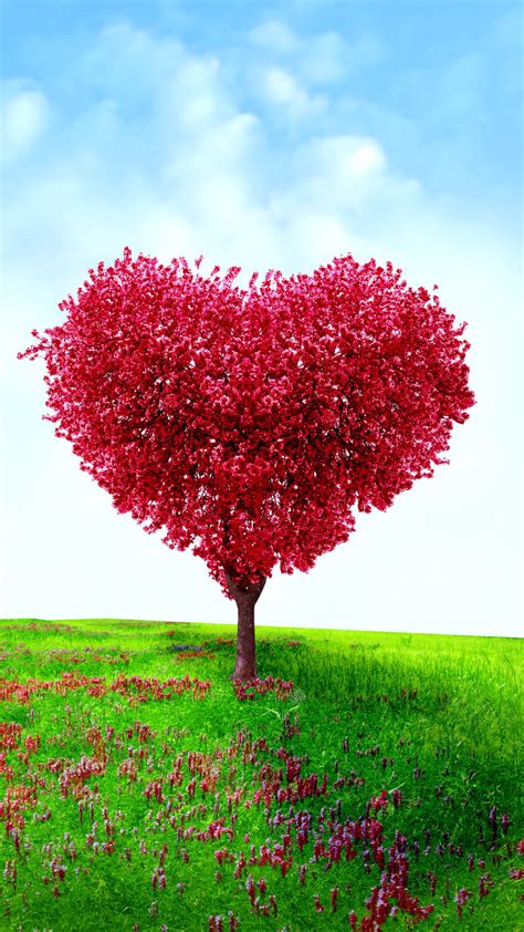 Heart Shaped Tree Best Htc One Wallpapers