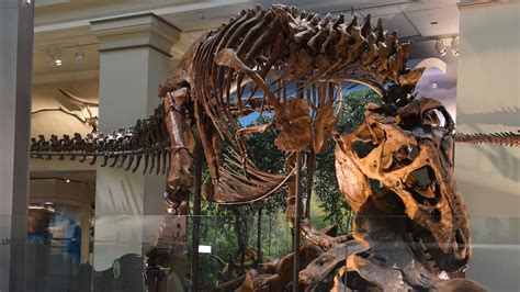 Smithsonian Natural History Museum Dinosaur And Fossil Hall Reopens