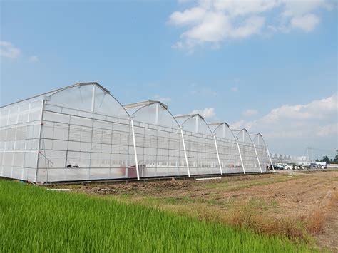 Multispan F Clean Greenhouse In Japan Agrowtec