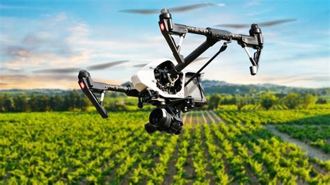 Agriculturetop 5 Tech Innovations In Agriculture