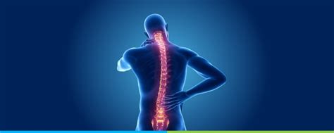 Healthy Spine And A Strong Back Omni Hospitals