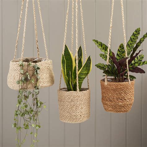 Hanging Plant Pot By All Things Brighton Beautiful