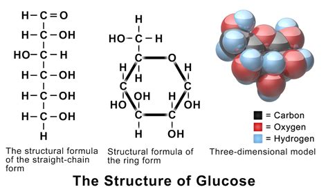 Is Glucose A Reducing Sugar