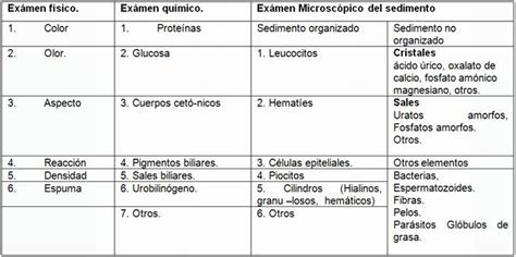 Pedirle que me de el significado de unos resultado me dieron los resultados de parcial de orina y quisiera saber el significado y el tratamiento para curarme si estoy enferma? Procedimientos técnicos en muestras de Orina - Monografias.com