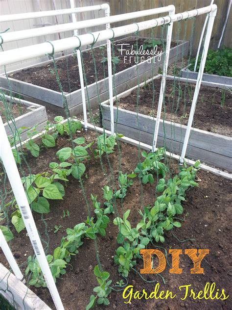 Learn how to choose the right trellis to grow your climbing vegetables vertically. DIY Garden Trellis!!