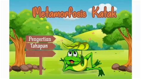 Maybe you would like to learn more about one of these? Metamorfosis daur hidup katak - YouTube
